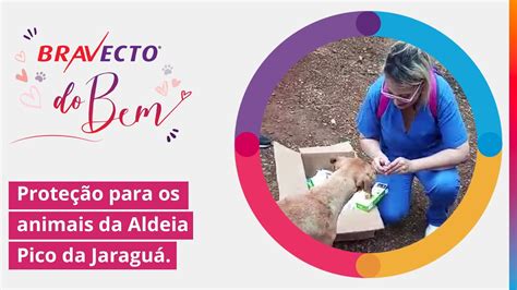 BravectoDoBem proteção para os animais do Instituto Eu Sou o Bicho