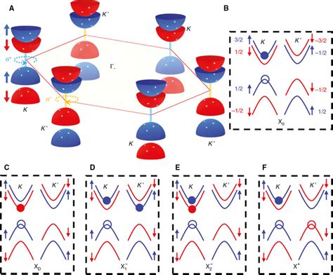 Excitonic States In 2d Tungsten Based Tmdc Monolayer A Download Scientific Diagram