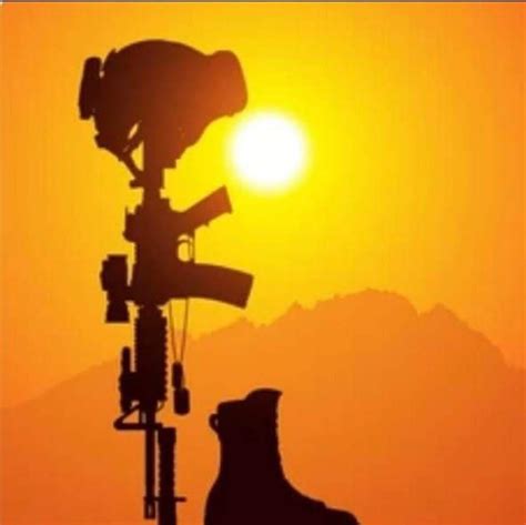 robert rosania net worth