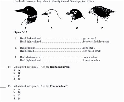 Solved Use The Dichotomous Key Below To Identify These Chegg