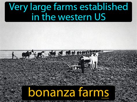 Bonanza Farms Definition & Image | GameSmartz