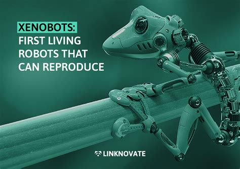 Xenobots: first living robots that can reproduce - Linknovate Stories