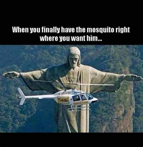 That's really a big mosquito. - Meme by Roku427 :) Memedroid