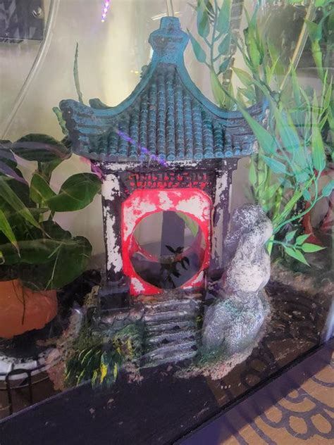 Imagitarium Asian Gazebo With Bamboo Ornament Petco