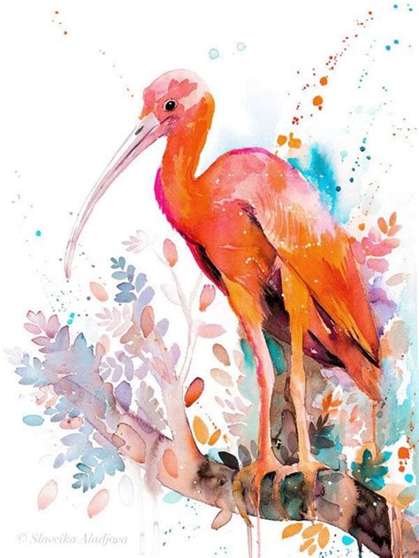 Scarlet Ibis Painting by Slaveika Aladjova | Saatchi Art