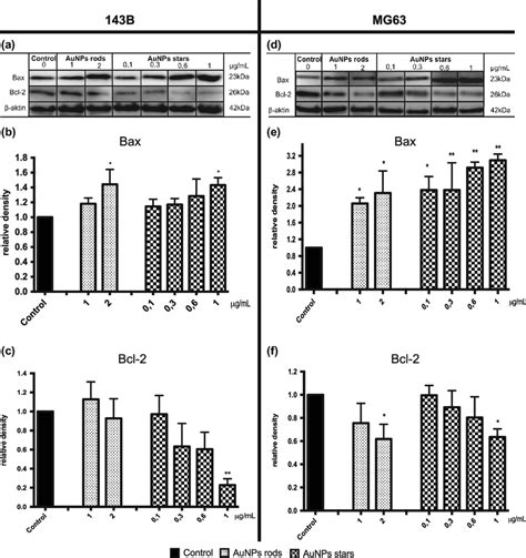 Western Blot Analysis Of Apoptosis Related Protein Level In B And