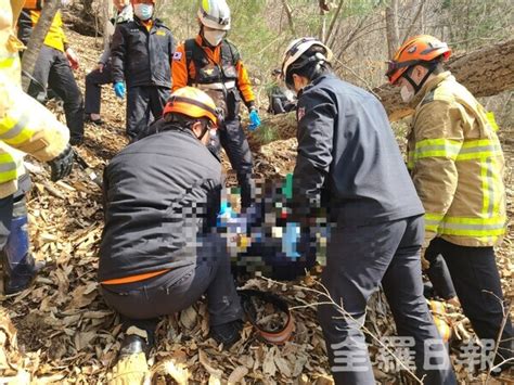 전북 순창 한 야산서 60대 남성 나무에 깔려사망