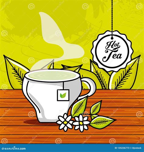 Cup With Tea Hot Chamomile Stock Vector Illustration Of Elegance