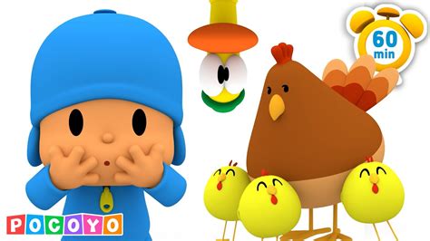 🐓 A Las Gallinas Les Encanta Pocoyó 60 Minutos Pocoyo 🇪🇸 Español Dibujos Animados Youtube