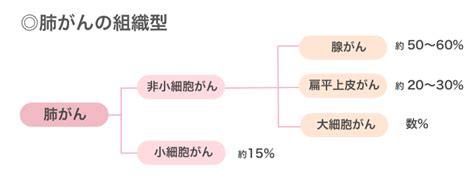 医師監修・作成 肺扁平上皮がんの治療：手術、薬物療法、放射線治療 Medleyメドレー