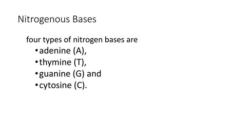 Structure Function Replication Ppt Download