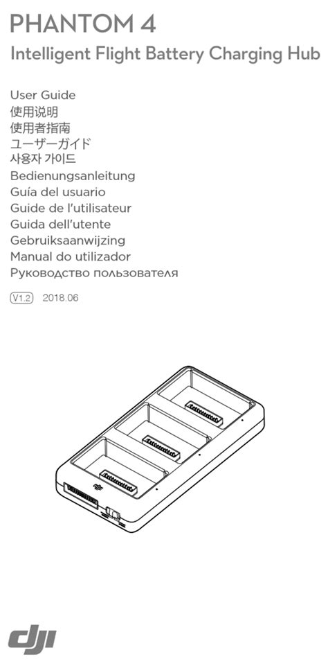 Dji Phantom 3 Professional Pdf, DJI PHANTOM 3 USER MANUAL Pdf Download | ManualsLib