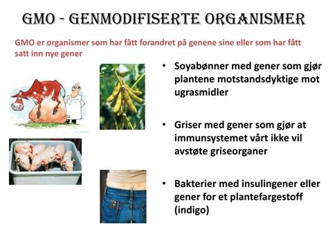 PPT 8A Bioteknologi Og Genteknologi Levende Organismer Og DNA Blir