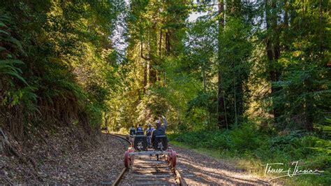 Image Of Railbiking In Mendocino County Through The Redwood Trees Hi