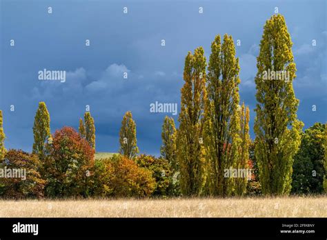 Fall Foliage Autumn Colour Hi Res Stock Photography And Images Alamy