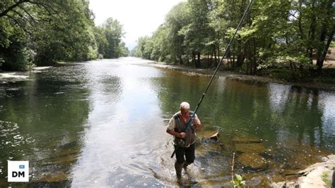 Explora los mejores ríos cántabros para practicar la pesca deportiva