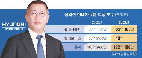 현대차 정의선 회장 작년 연봉 122억 안팎뉴스