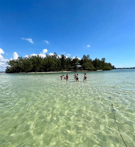 AMI Discovery Charters - Passage Key, Snorkeling, Egmont Key Snorkeling