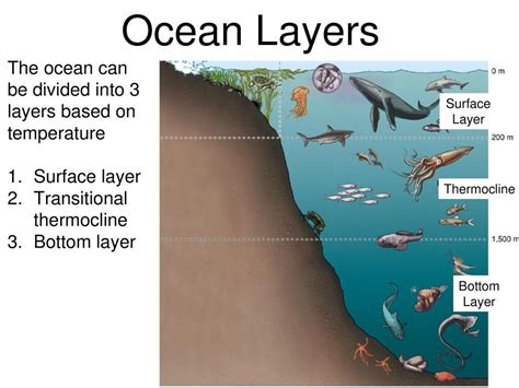 Earths Oceans Ppt Download