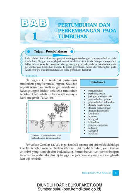 Detail Gambar Pertumbuhan Dan Perkembangan Pada Tumbuhan Koleksi Nomer