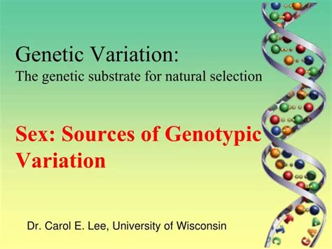 Ppt Genetic Variation The Genetic Substrate For Natural Selection