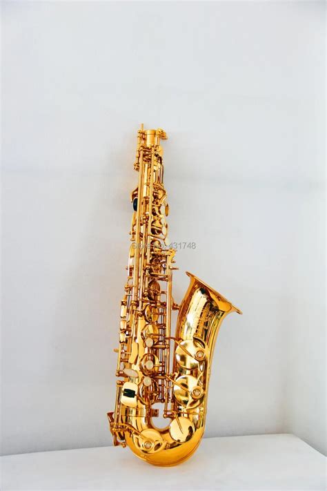 Eb Alto Saxophone Gold Lacquer Finish Brass Sax Alto With Case