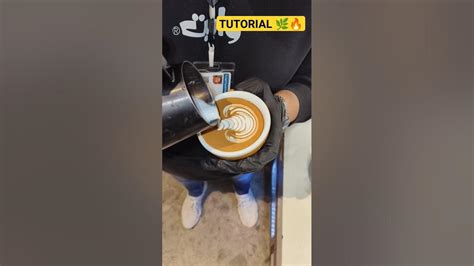 Latte Art Basics Tutorial For Barista Tulip Latte Art 🌿🌷 { Latte Art