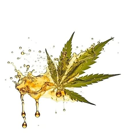 Premium Photo Fresh Hemp Leaf And Oil Splash Isolated On White