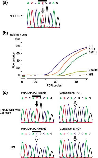 Peptide Nucleic Acidlocked Nucleic Acid Polymerase Chain Reaction