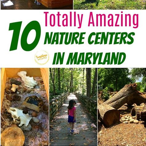 15+ Amazing Nature Centers in Maryland | Nature center, Day trips, Kid ...