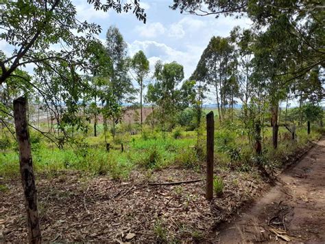 Chácara para Venda Pouso Alegre MG bairro Curralinho terreno 5 000