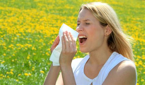 Pollen Levels Hay Fever Hell On The Way As A Result Of Warm Weather Uk News Uk