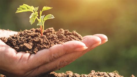 natural resources american river college