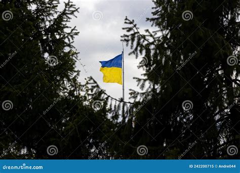 Ukraine National Flag Stock Image Image Of Color Yellow 242200715