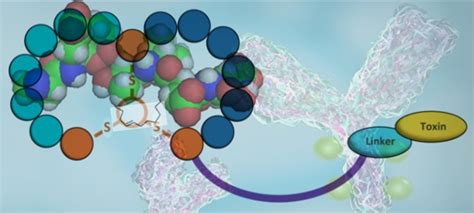 Things About Polypeptide Antibiotic You Need Know Biopharma Peg