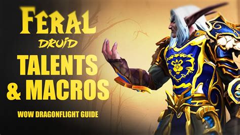 Feral Druid Dragonflight Guide Easy Mode Talents Macros And Demo Wow