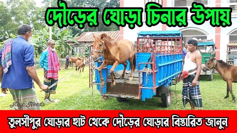 দৌড়ের ঘোড়া কেনার আগে দেখে নিন কিভাবে চিনবেন দৌড়ের ঘোড়া বিস্তারিত