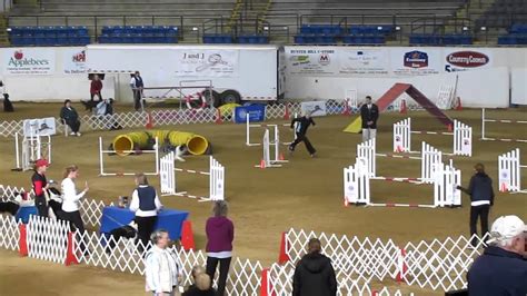 AKC Nationals Hybrid Class YouTube