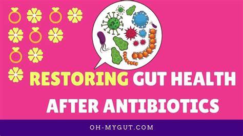 Restoring Gut Health After Antibiotics Actionable Steps Oh My Gut