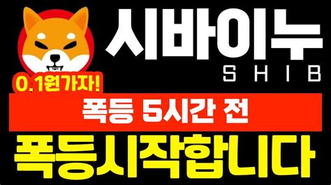 시바이누 Shib 폭등 5시간 전 이제 폭등 시작합니다 01원 돌파 움직임 Youtube