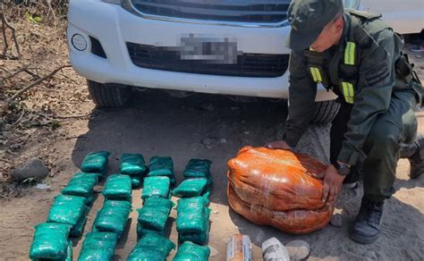 Gendarmer A Decomis Kilos De Hojas De Coca En Dos Procedimientos