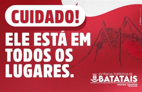 Faça Sua Parte No Combate Ao Mosquito Da Dengue