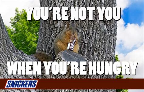 So We Took The Current Snickers Tagline And Did This Fat Squirrel