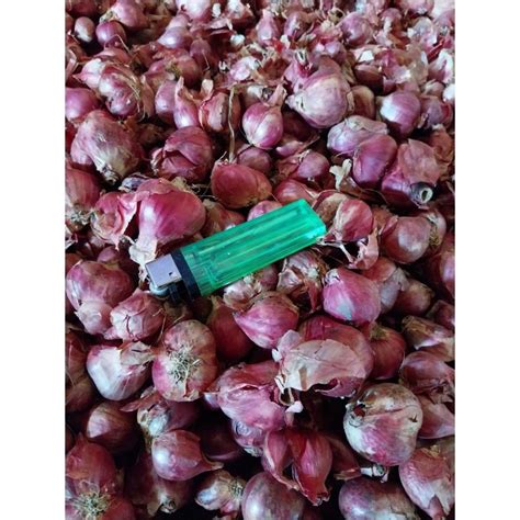 Jual Bawang Merah Brebes Super Kg Kg Shopee Indonesia