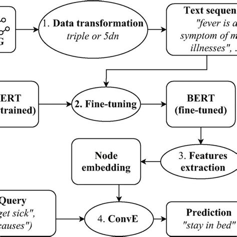 1 3 Bert Conve Workflow Download Scientific Diagram