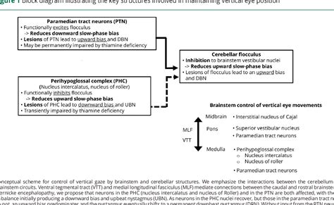 Conversion Of Upbeat To Downbeat Nystagmus In Wernicke Encephalopathy