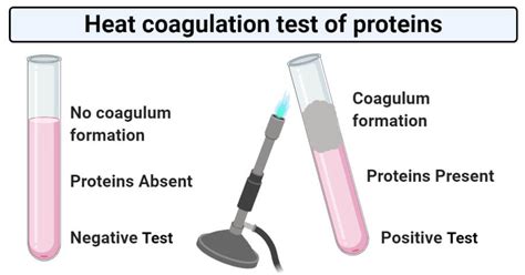 Heat coagulation test of proteins