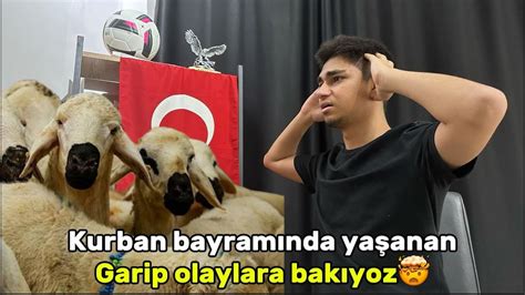 KURBAN BAYRAMINDA YAŞANAN GARİP OLAYLARA BAKIYOZ YouTube