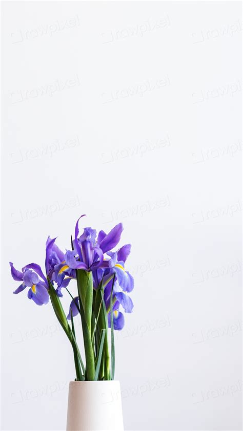 Closeup purple irises white vase | Premium Photo - rawpixel