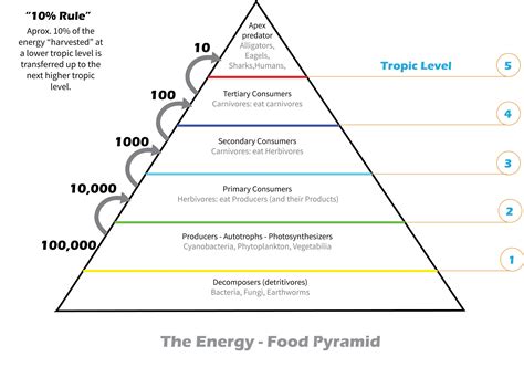 Energy Pyramid Template